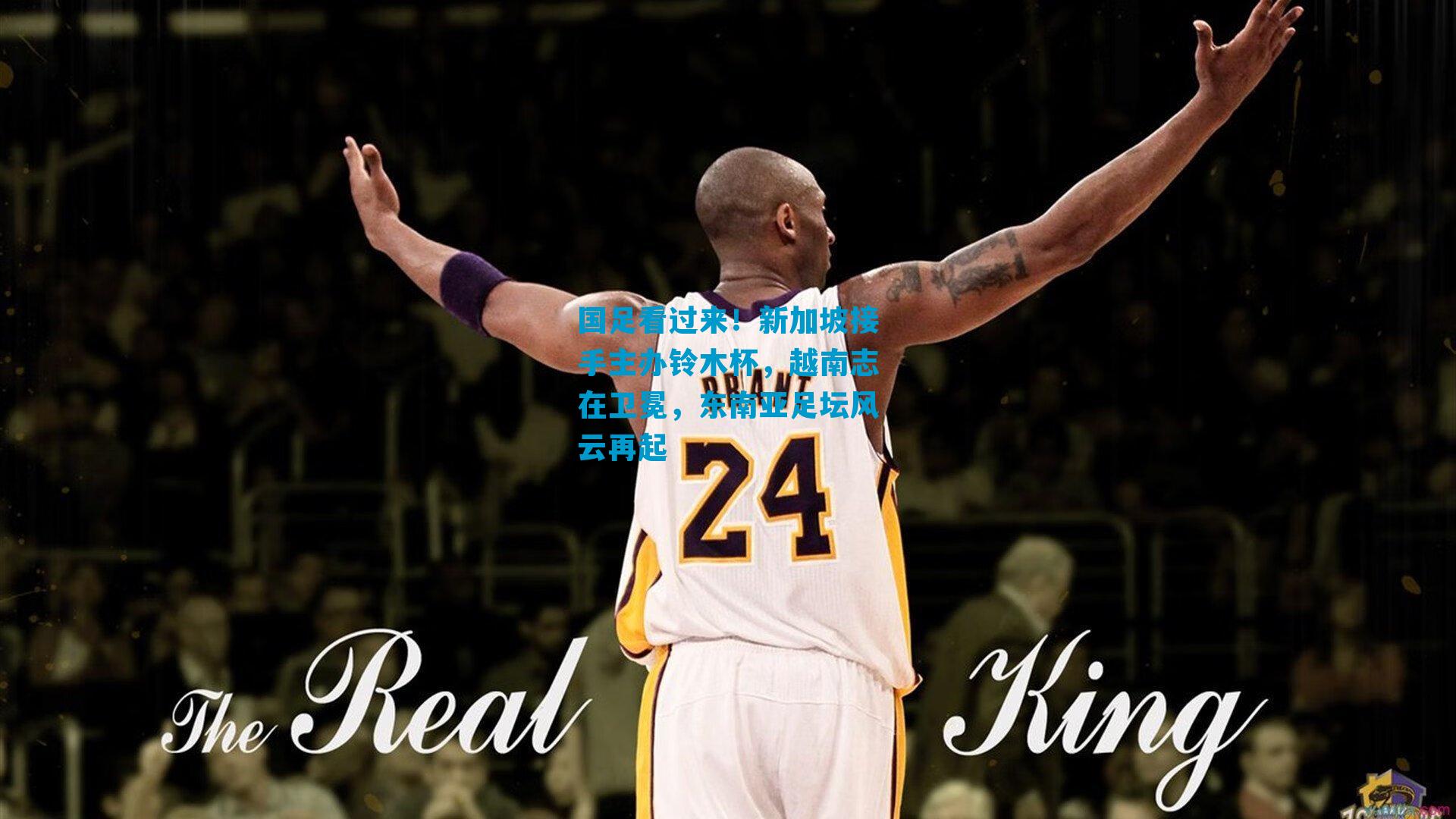 国足看过来！新加坡接手主办铃木杯，越南志在卫冕，东南亚足坛风云再起