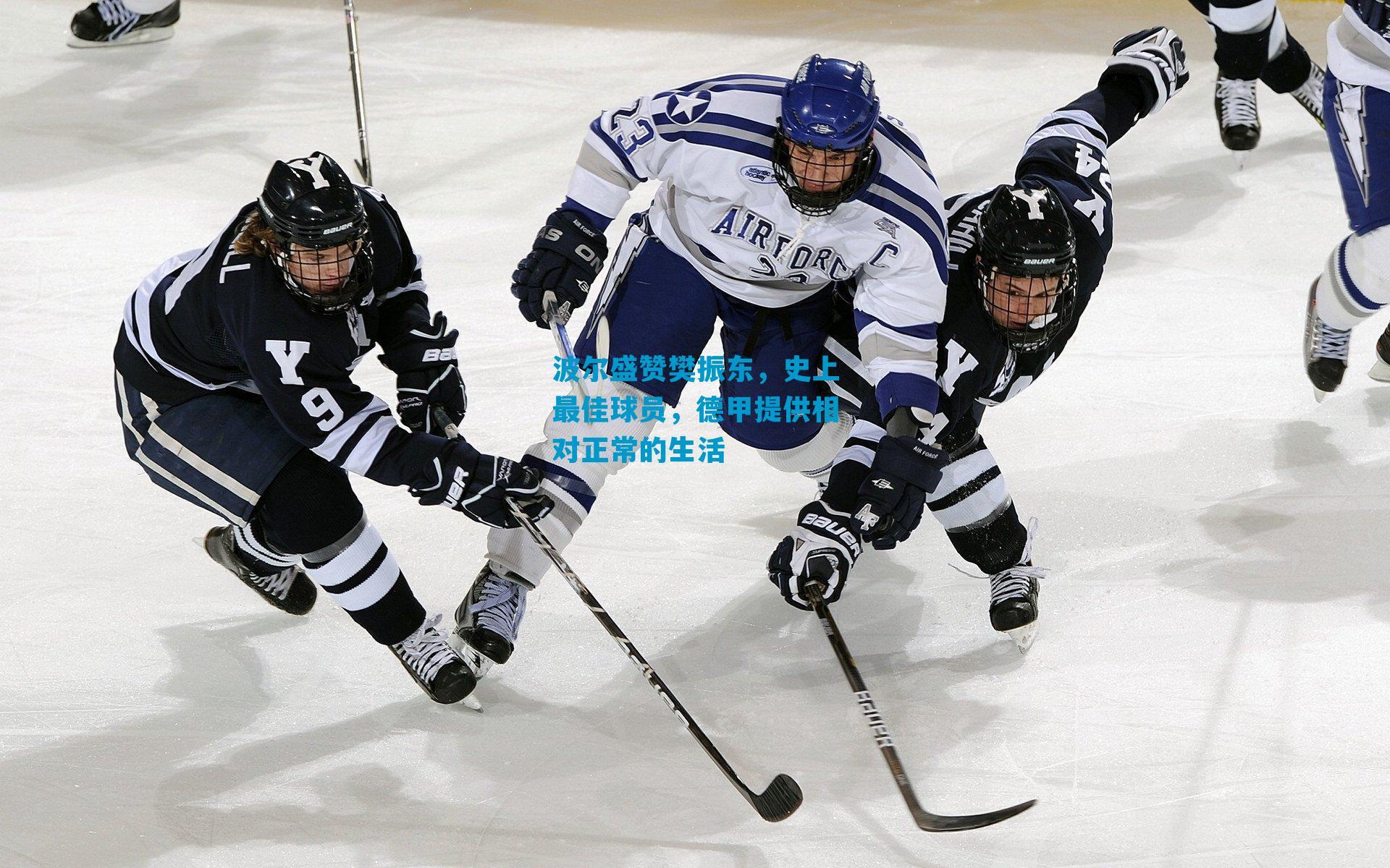 波尔盛赞樊振东，史上最佳球员，德甲提供相对正常的生活